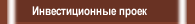 Инвестиционные проек