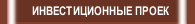 ИНВЕСТИЦИОННЫЕ ПРОЕК
